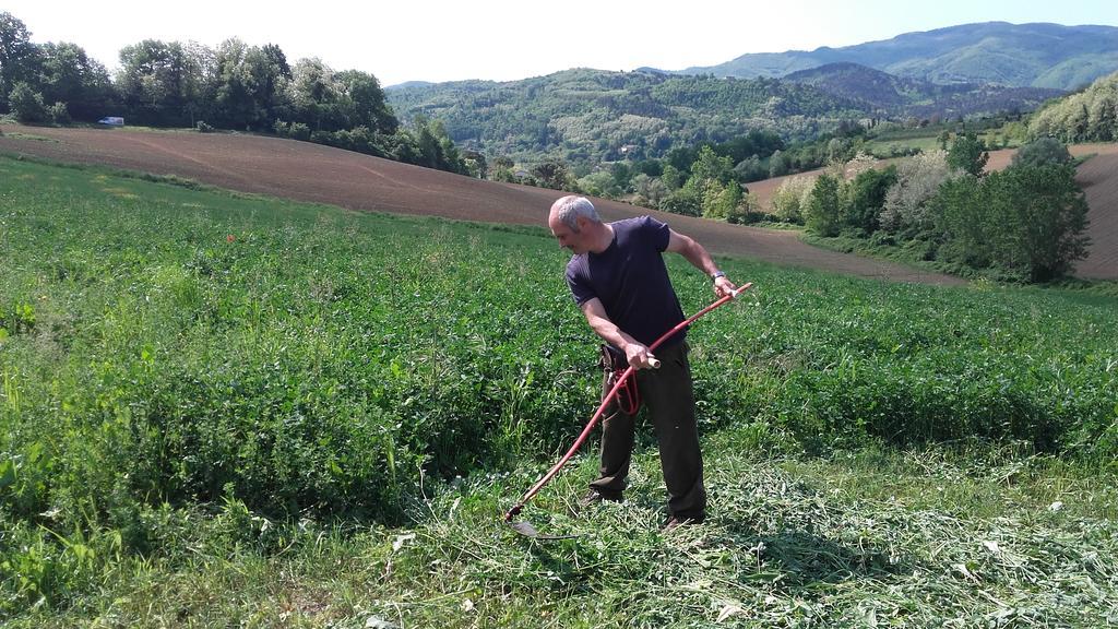 Agriturismo Stazione Di Monta Villa Vicchio Bagian luar foto