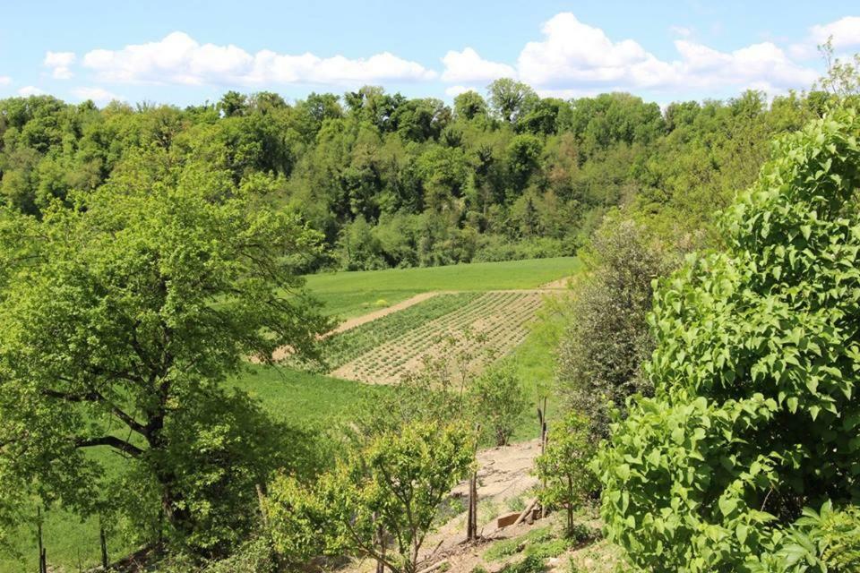 Agriturismo Stazione Di Monta Villa Vicchio Bagian luar foto